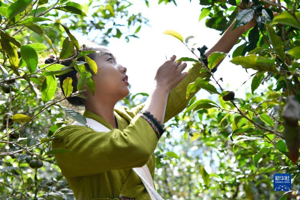 捕鱼下游戏大厅